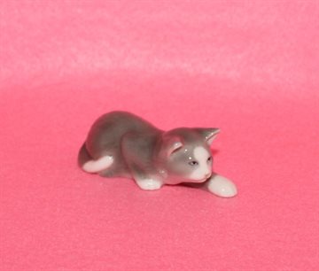 Mini kat