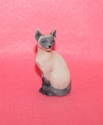 Mini kat