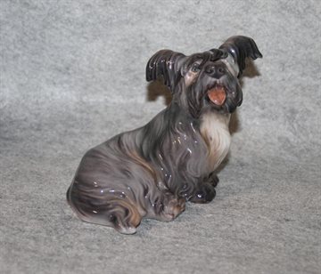 Skye terrier