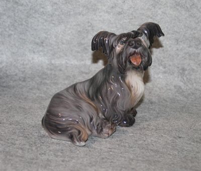 Skye terrier