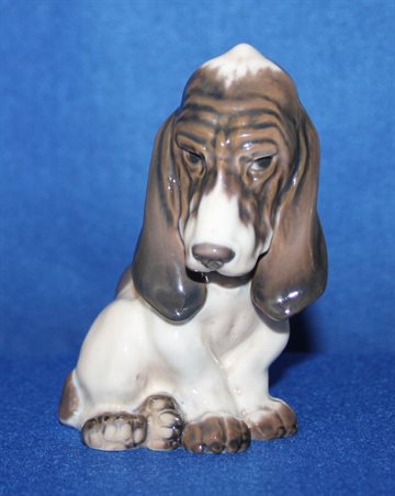 Basset Hound 