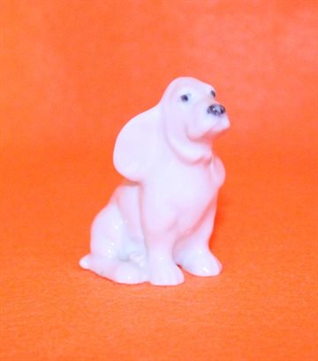 Mini Hund
