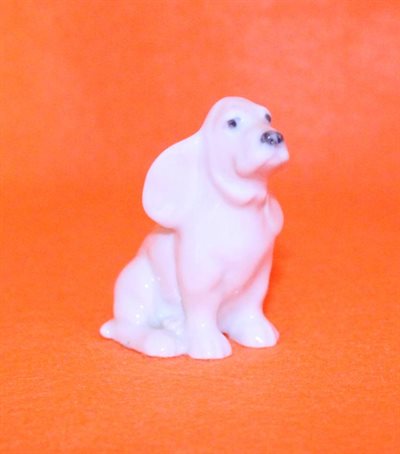 Mini Hund