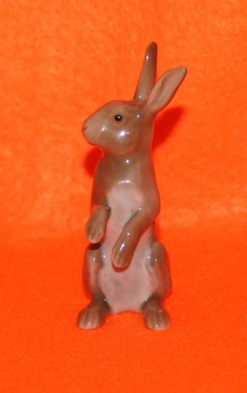 Hare