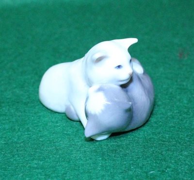 Katte der leger   