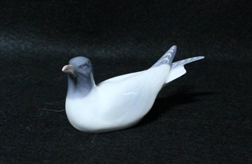 Måge