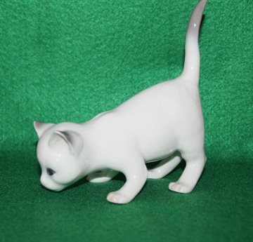 Hvid Kat med løftet hale