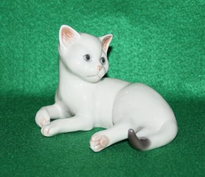 Liggende hvid kat