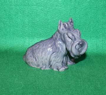 Skottehund