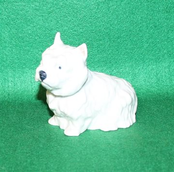 West Highland Terrier