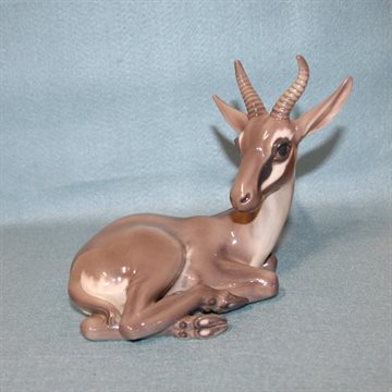 Antilope