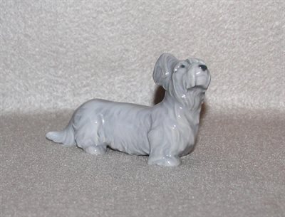 Skye Terrier