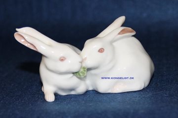 To hvide kaniner