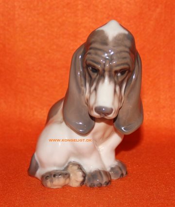 Basset Hund