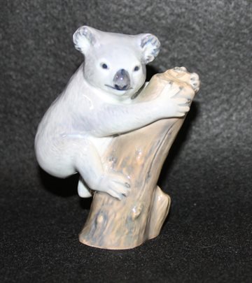 Koalabjørn på træstup
