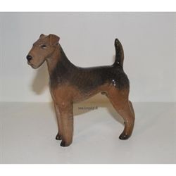 Airedale terrier