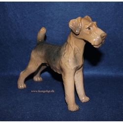 Airedale Terrier