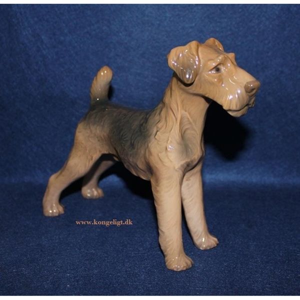 Airedale Terrier