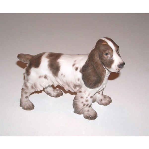 Cocker Spaniel