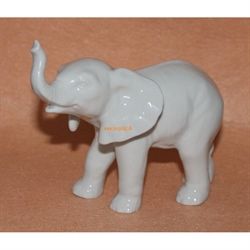 Elefant i hvid