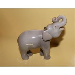 Elefant Unge
