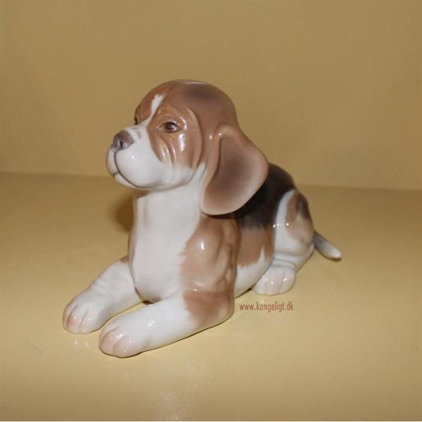 Liggende Beagle Hvalp