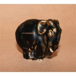 Lille elefant