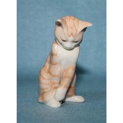 Mini Kat.     