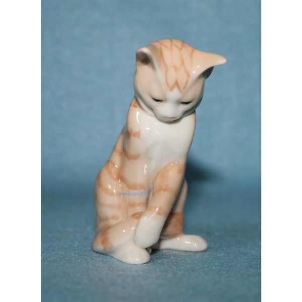 Mini Kat.     