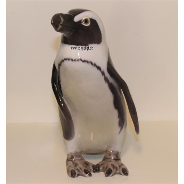 Pingvin Sortfod