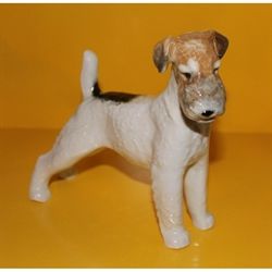 Ruhåret foxterrier