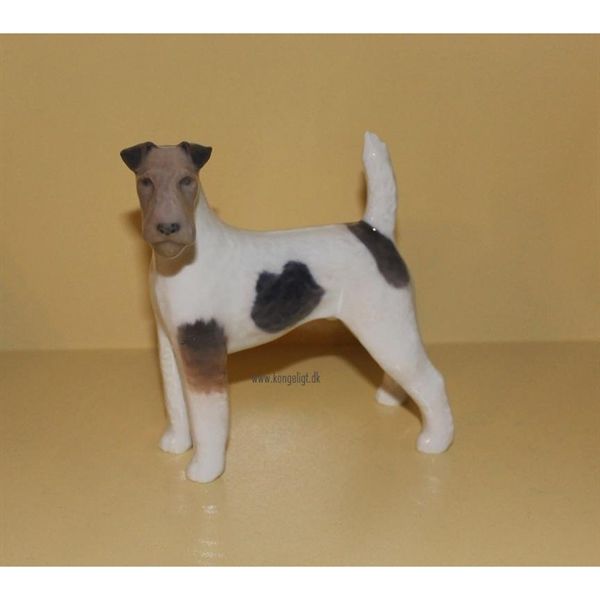 Ruhåret Foxterrier