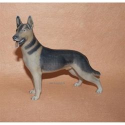 Schæferhund