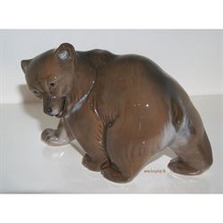 Vandrende brun bjørn