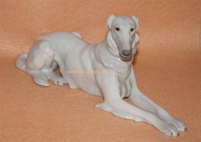 Borzoi Mynde 